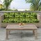 Noir - Black,Green Leaves,Tropical & Botanical Upholstery Fabric 54 Inches"